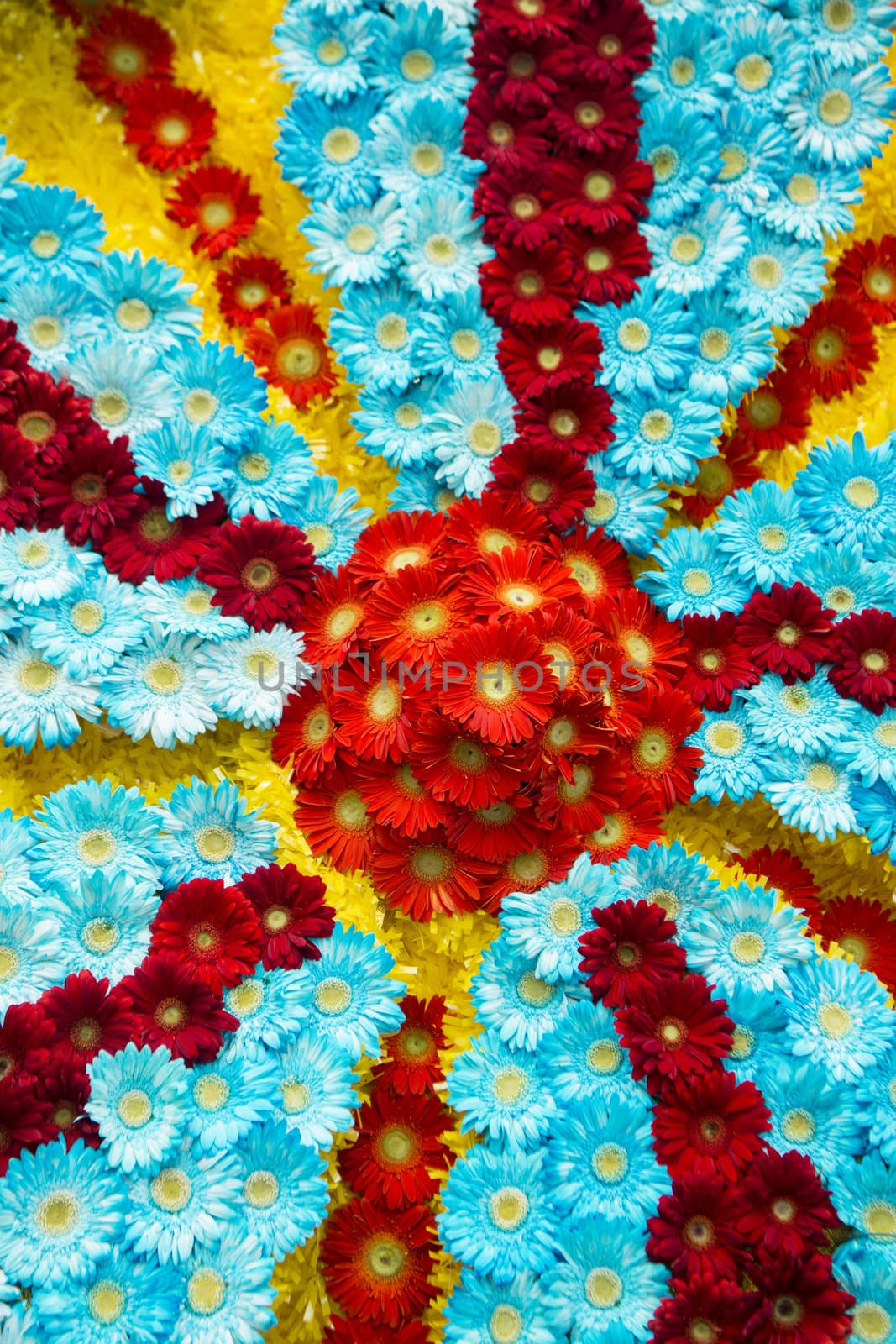colorfull flowers at the Festa da Flor or Spring Flower Festival in the city of Funchal on the Island of Madeira in the Atlantic Ocean of Portugal.  Madeira, Funchal, April, 2018