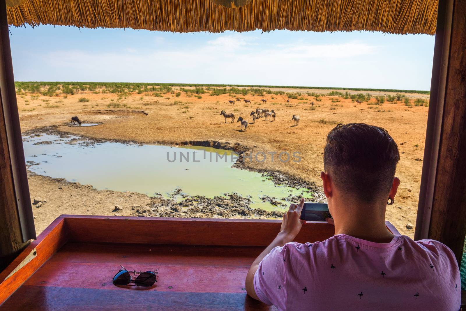 Tourist films wildlife with a smartphone in Etosha National Park, Namibia by nickfox