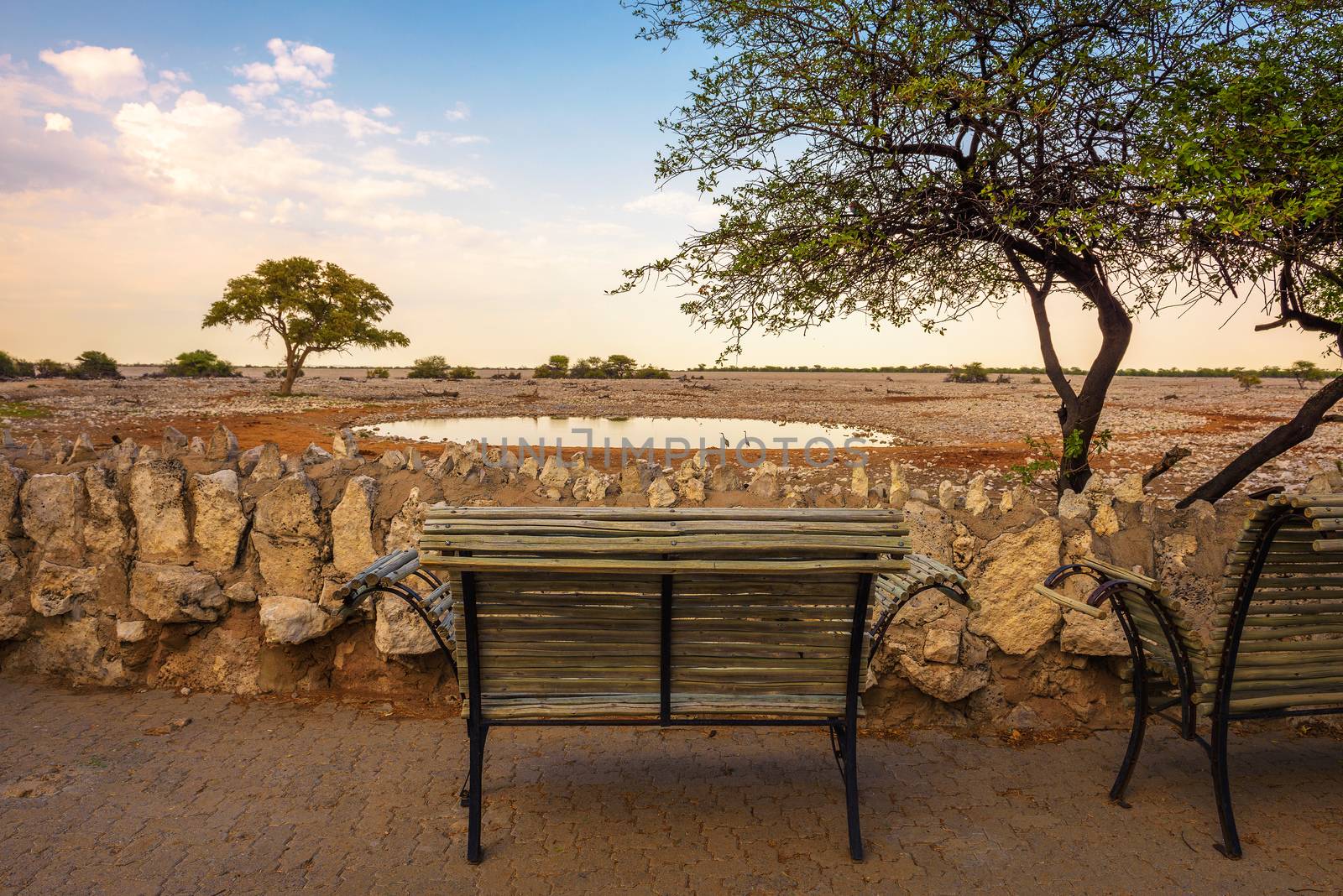 Bench at the waterhole of Okaukuejo Campsite in Etosha National Park, Namibia.