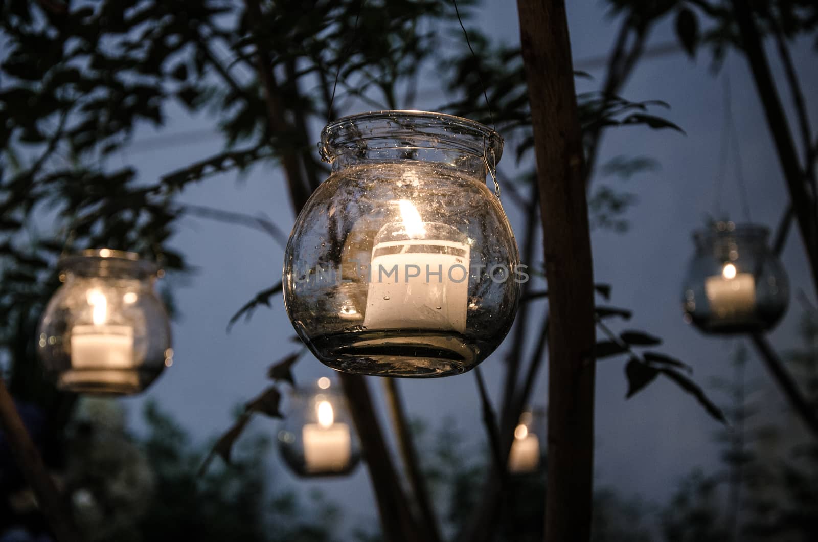 floating candles moored to a tree