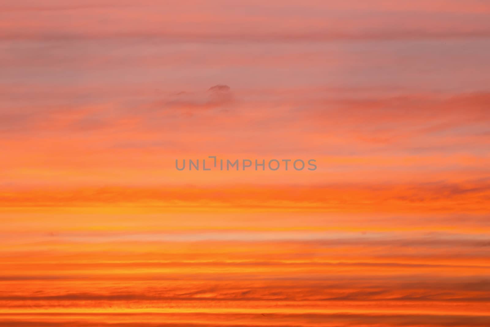 Sunset with Colorful dramatic sky in the countryside.