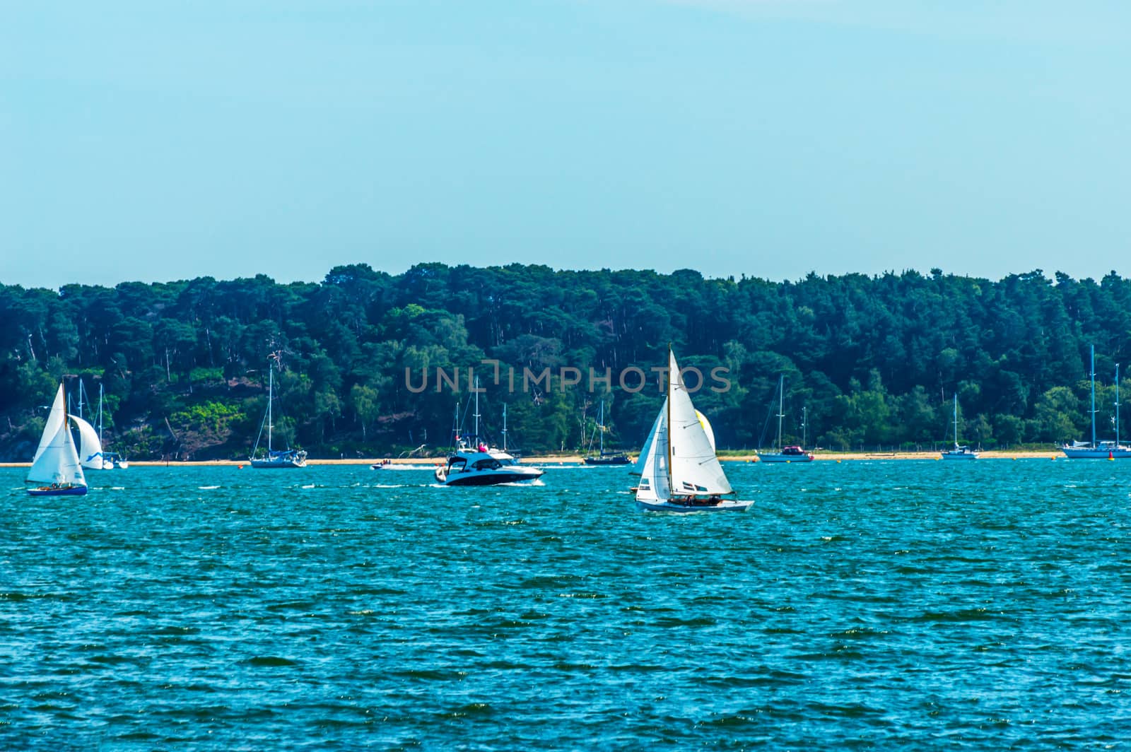 Beautiful yachts in the bay, sailing on the ocean, clear sky, blue water, sports recreation, sunny day