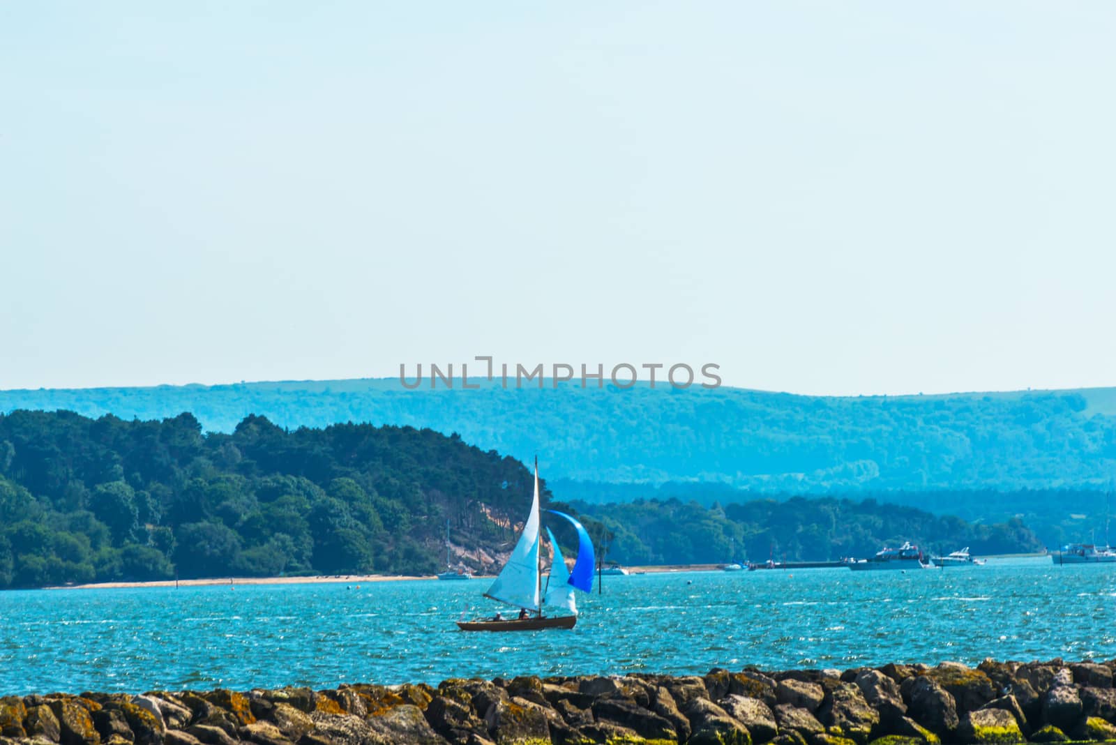 Beautiful yachts in the bay, sailing on the ocean, clear sky, bl by Q77photo