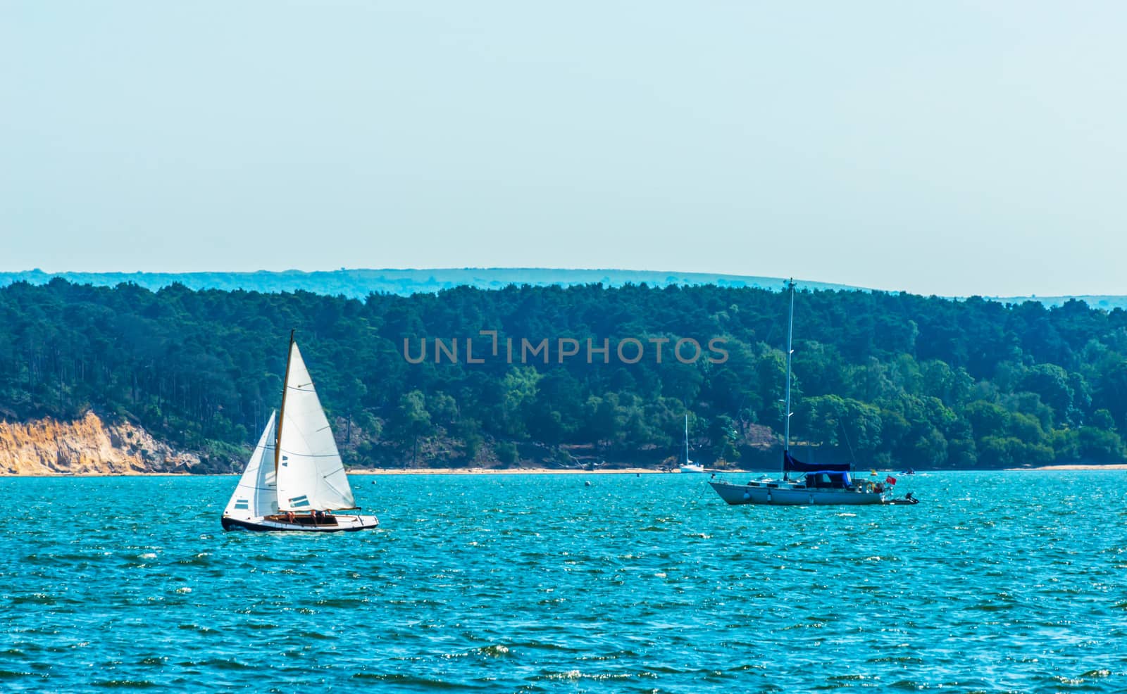 Beautiful yachts in the bay, sailing on the ocean, clear sky, blue water, sports recreation, sunny day