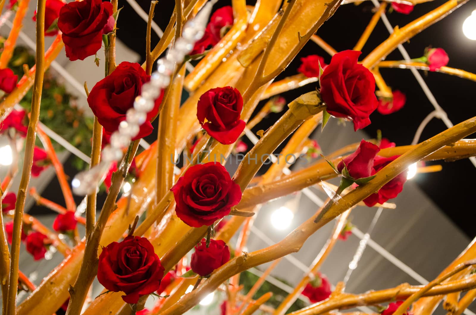 Roses and stalks illuminated in a wedding decoration