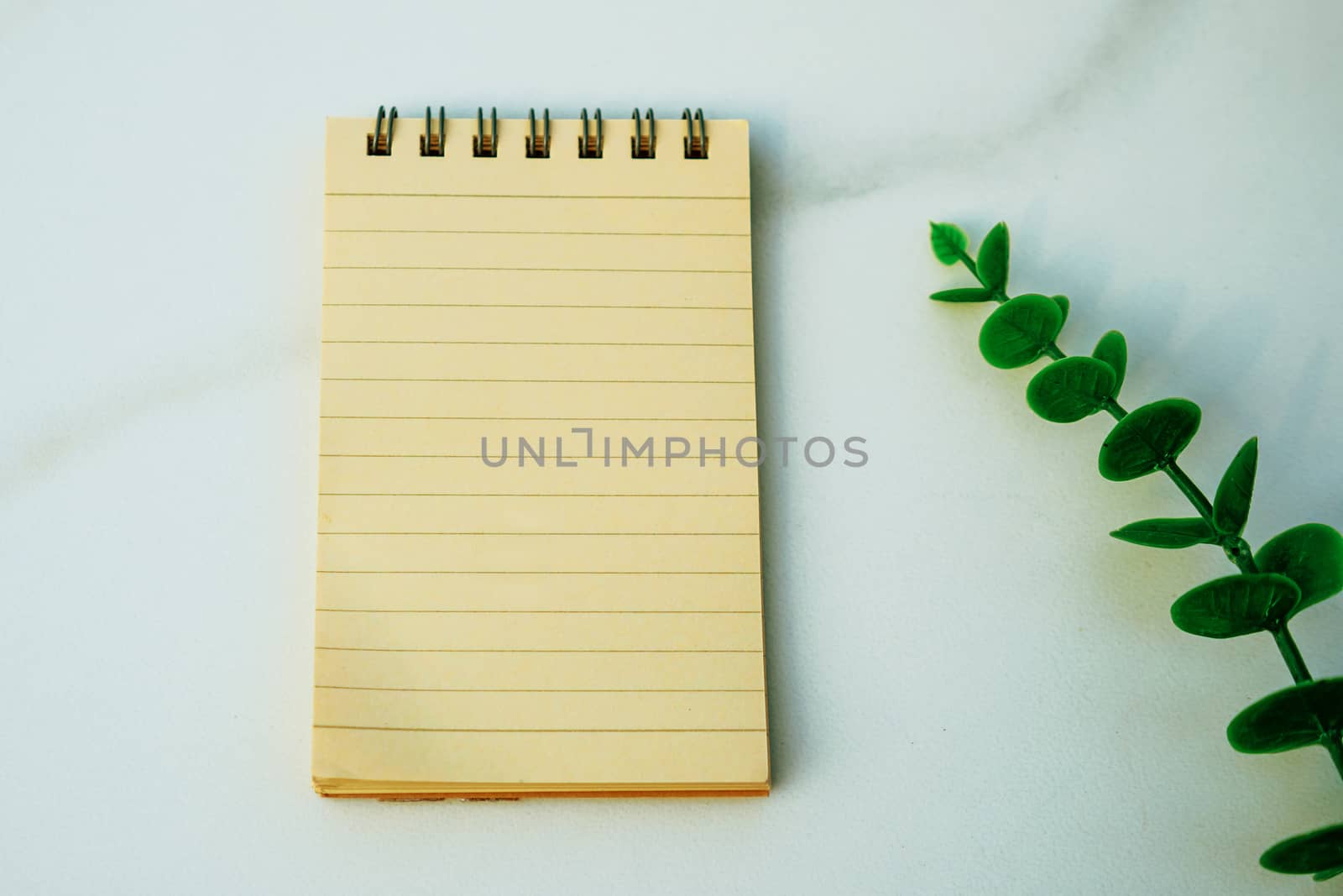 Top view of blank space white notebook and pen with tropical leaf as frame background.