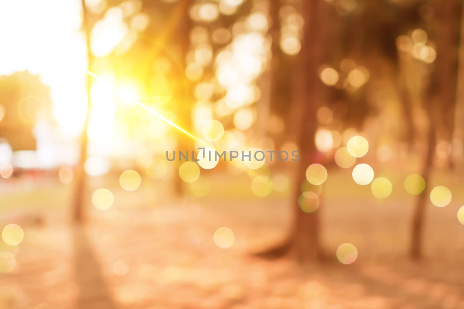 Blur nature bokeh green park by beach and tropical coconut trees by Suwant