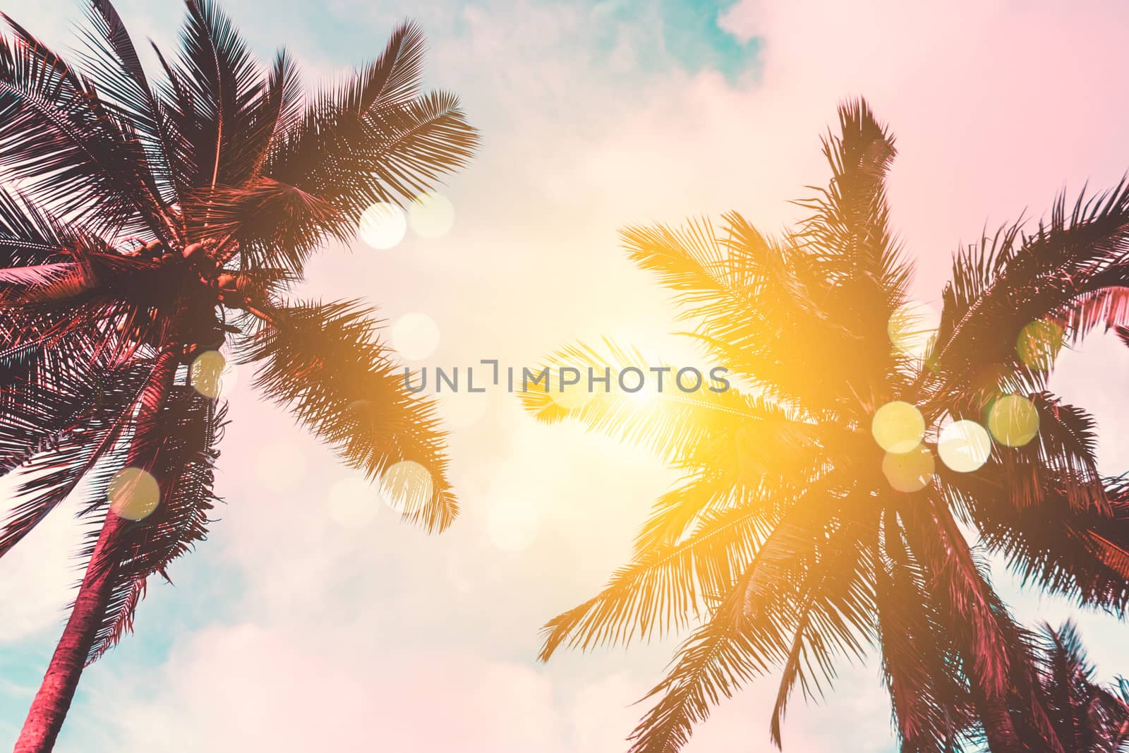 Tropical palm coconut trees on sunset sky flare and bokeh nature background.