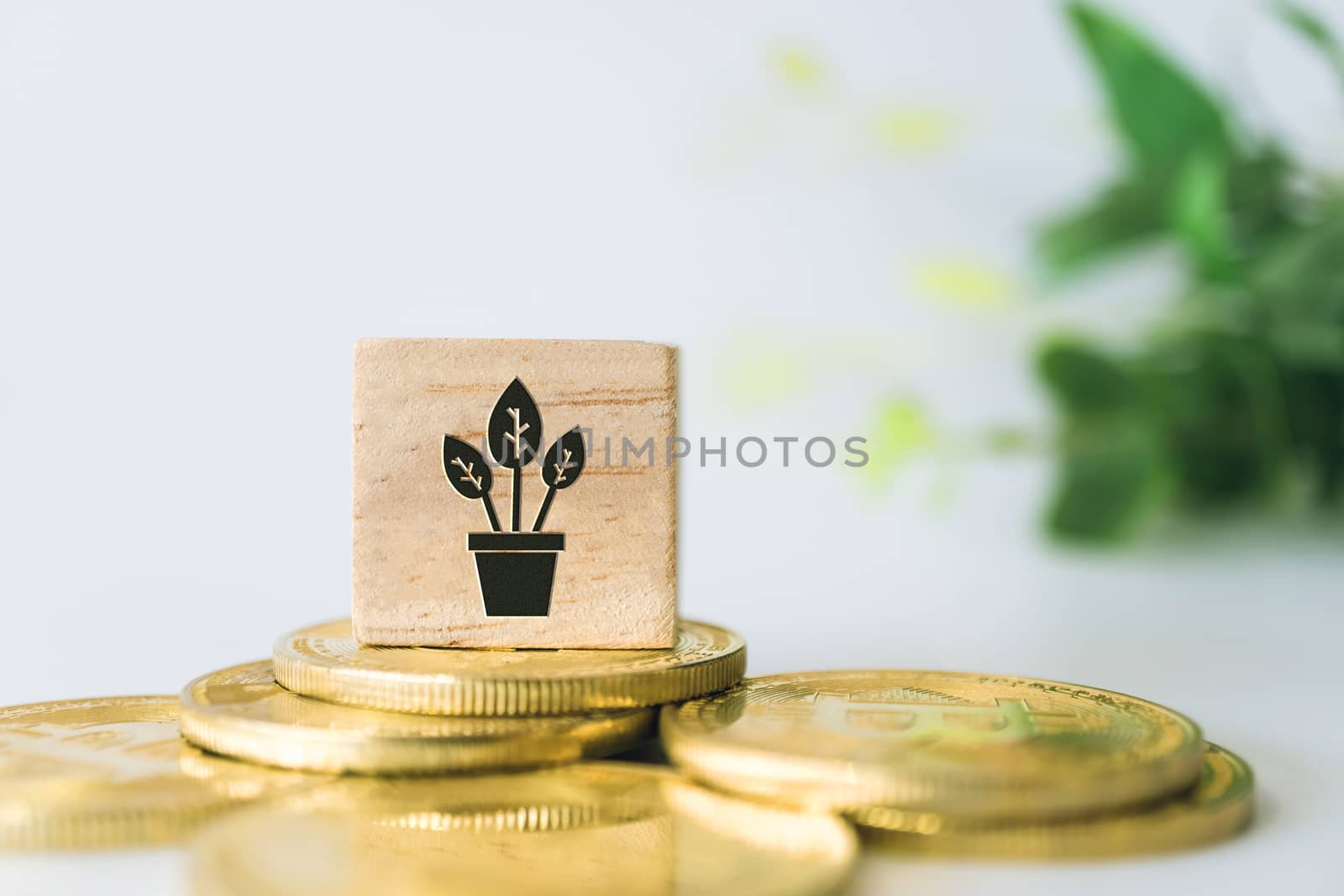 Plant in pot grow up icon sign on wooden cube with objects such as gold coin, calculator and mini home model behide white clean background. Growth Business financial investing money concept.