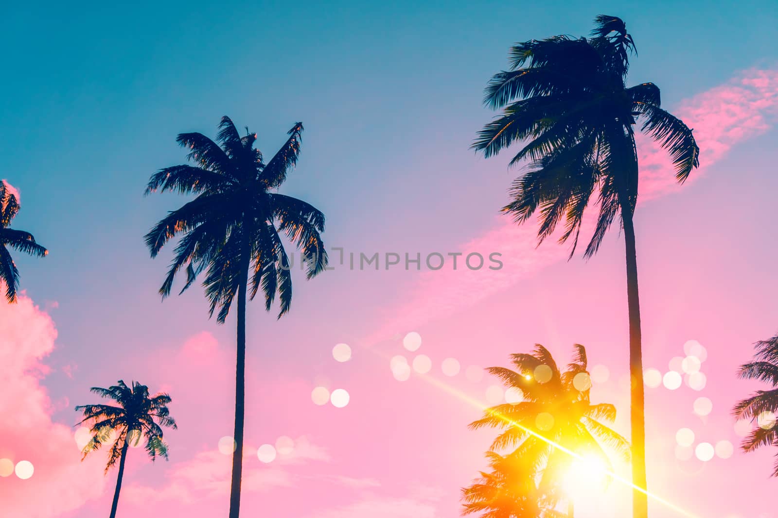 Tropical palm coconut trees on sunset sky flare and bokeh nature background.