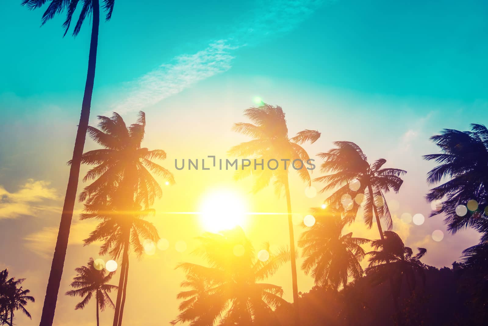 Tropical palm coconut trees on sunset sky flare and bokeh nature. by Suwant