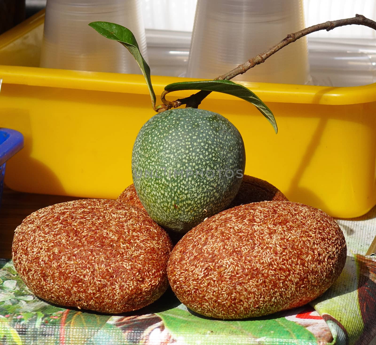The fruit from which Aiyu jelly, a popular Chinese snack, is made.