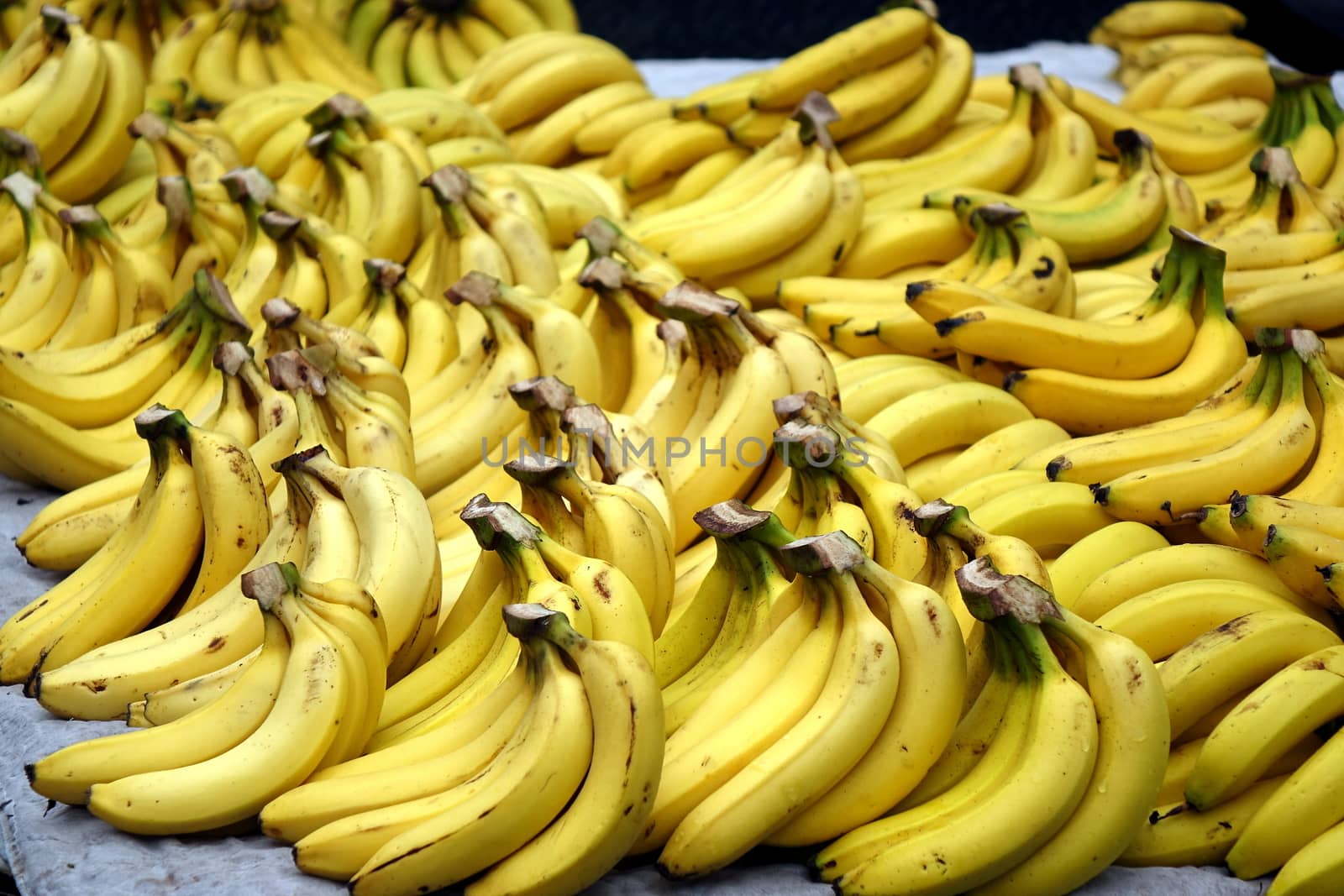 A market stall sells lots of bananas when the fruit is in season
