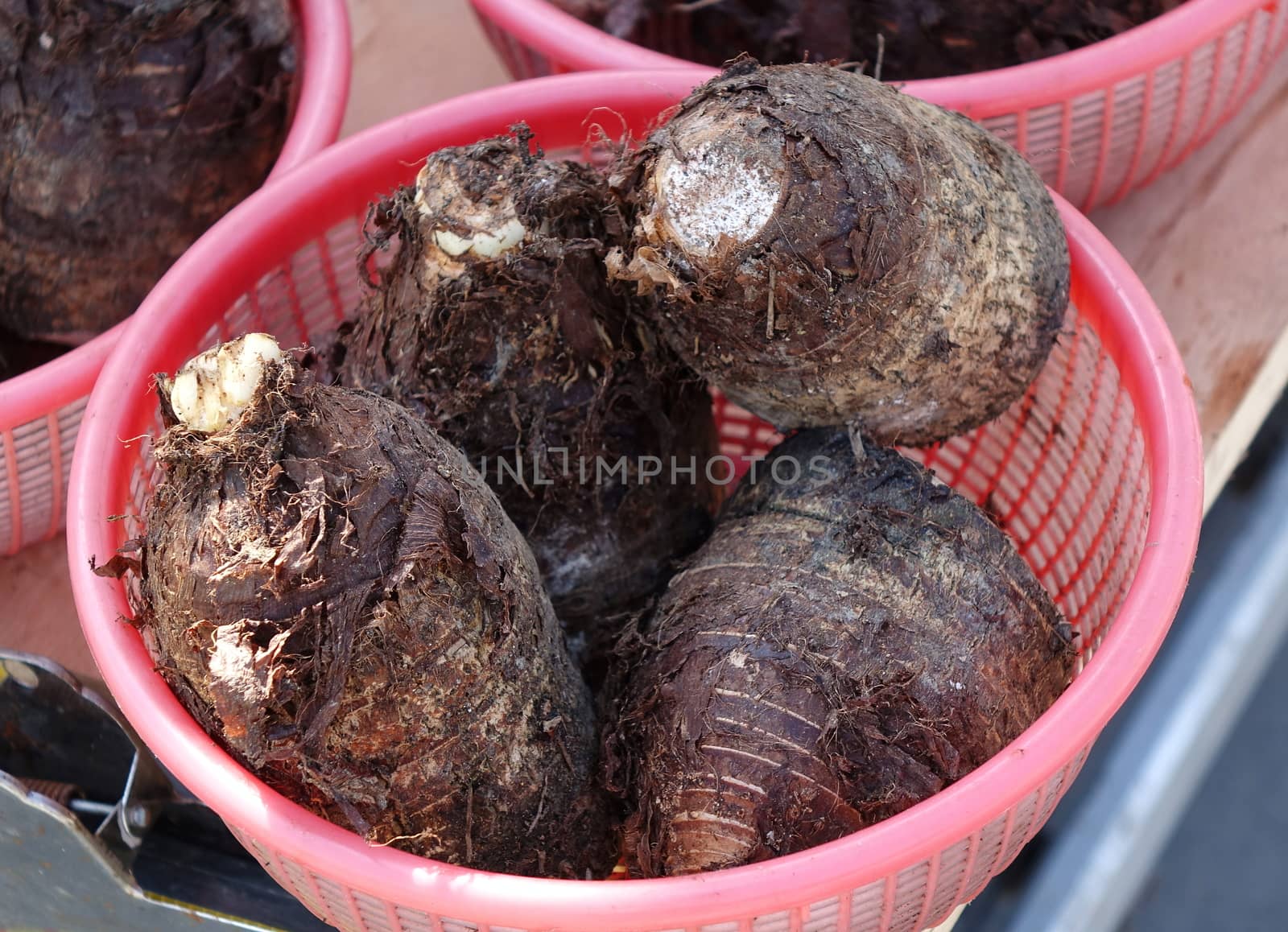 A market vendor sells large taro roots, a popular vegetable in Taiwan