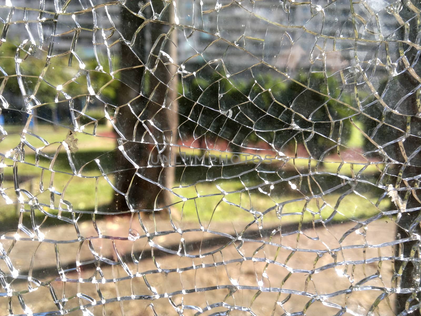 A view into garden through a broken glass window
