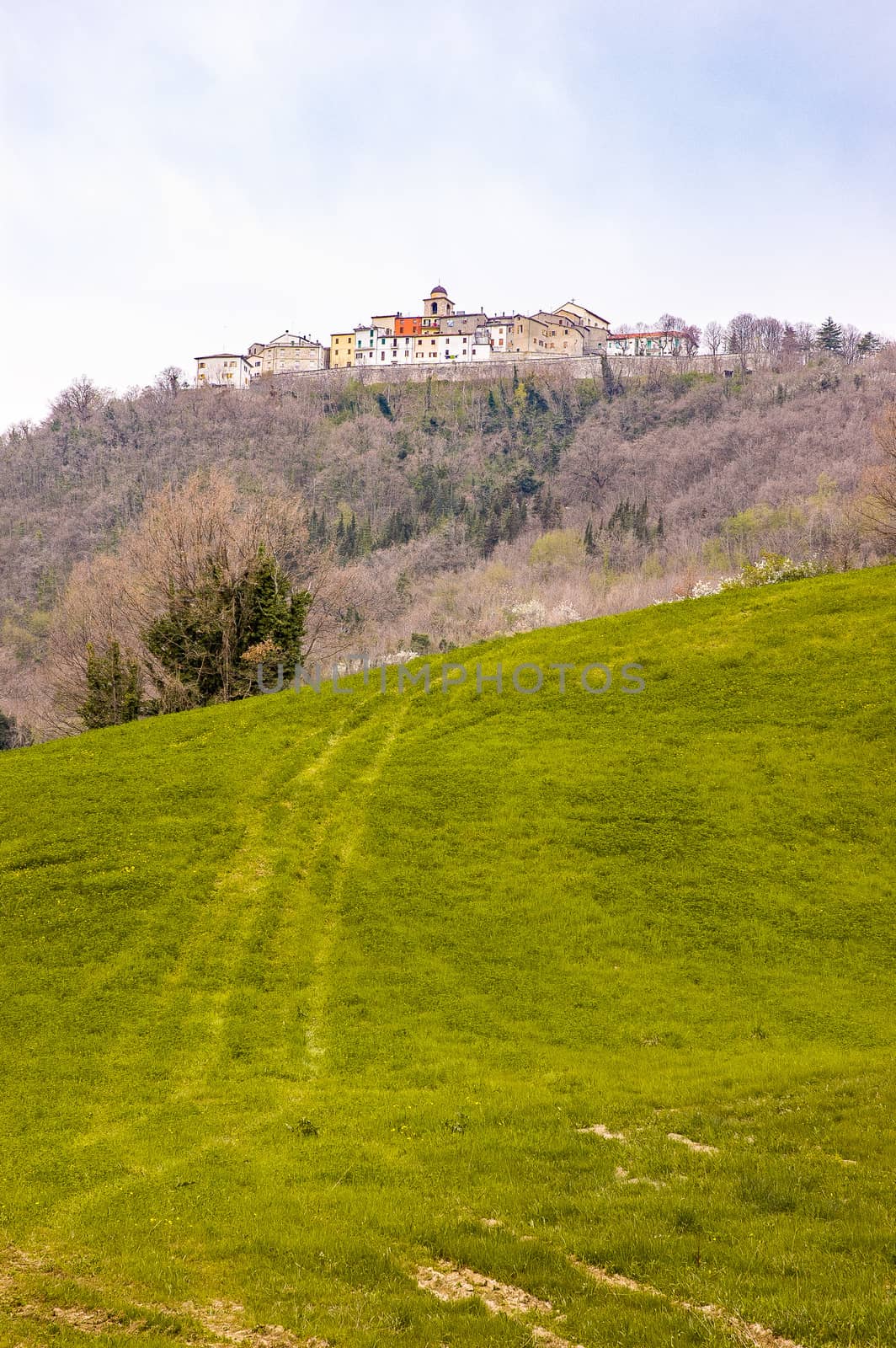 View of the Monte Grimano village on a hill in the Italian Marche, in the Province of Pesaro and Urbino, at 90 km from Ancona, Italy