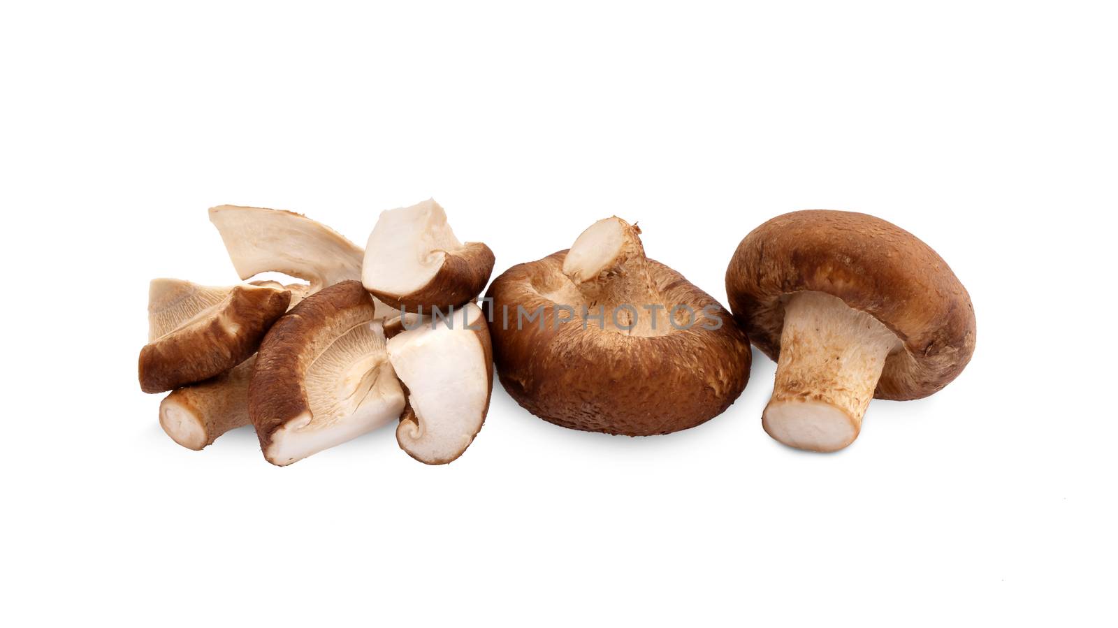 Shiitake mushroom on the White background  by freedomnaruk