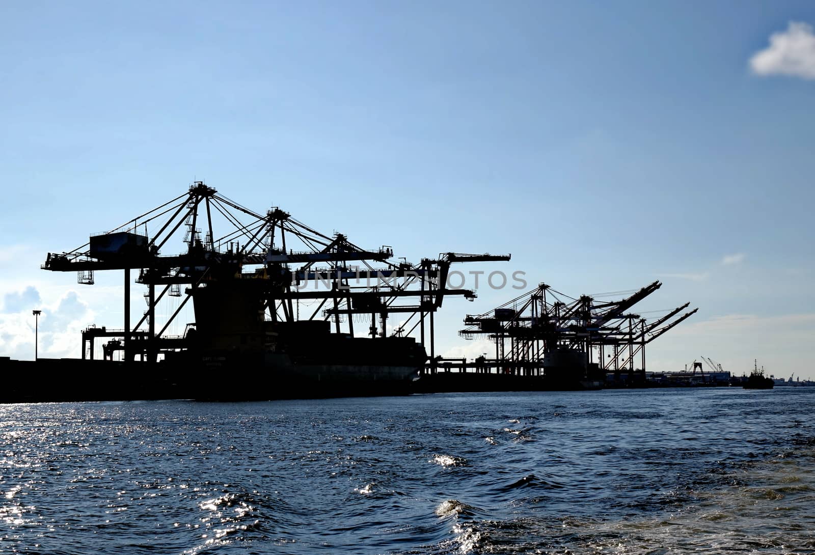 A large container loading facility with gantry cranes seen in silhouette