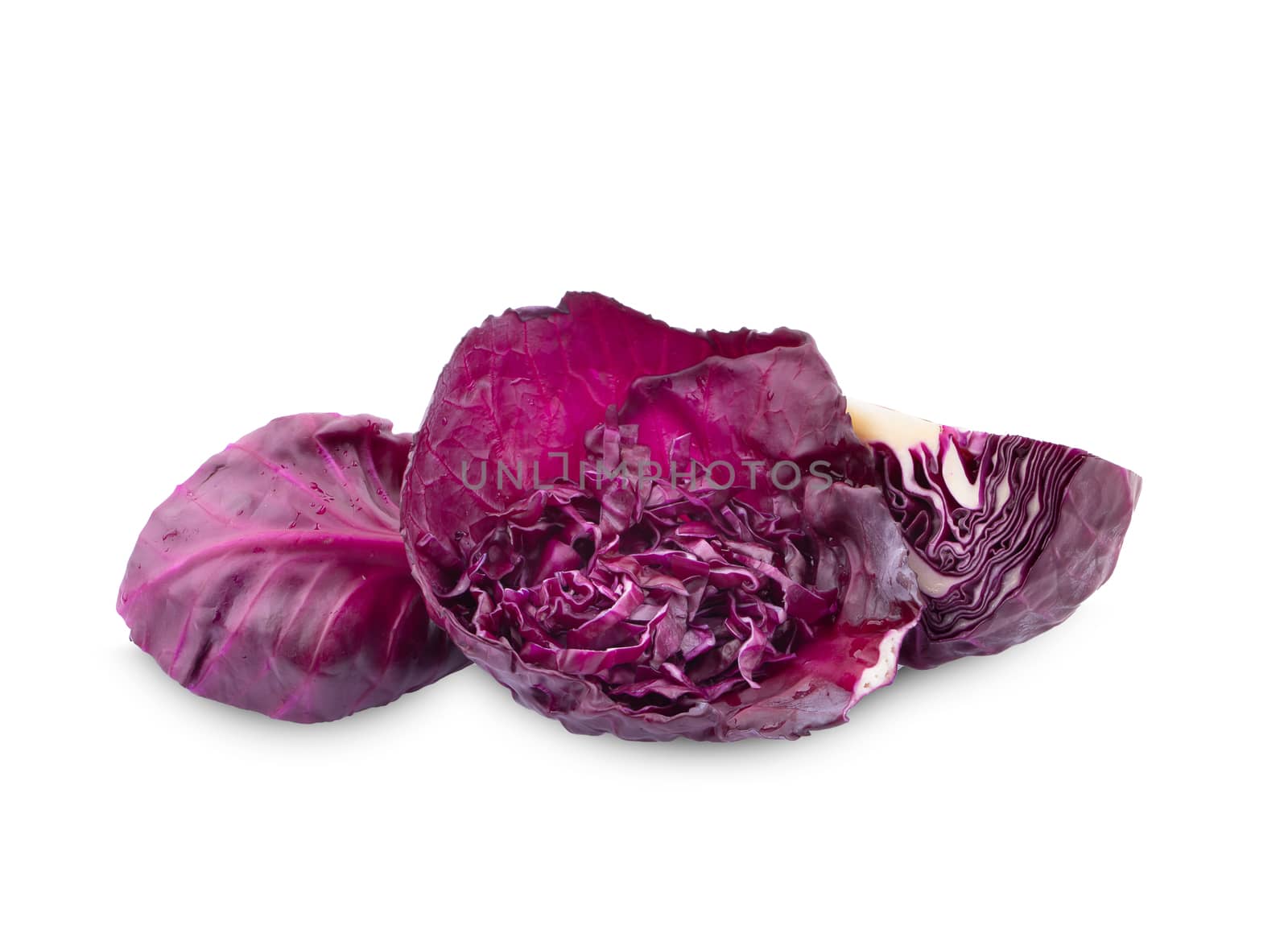 Purple cabbage isolated on white background