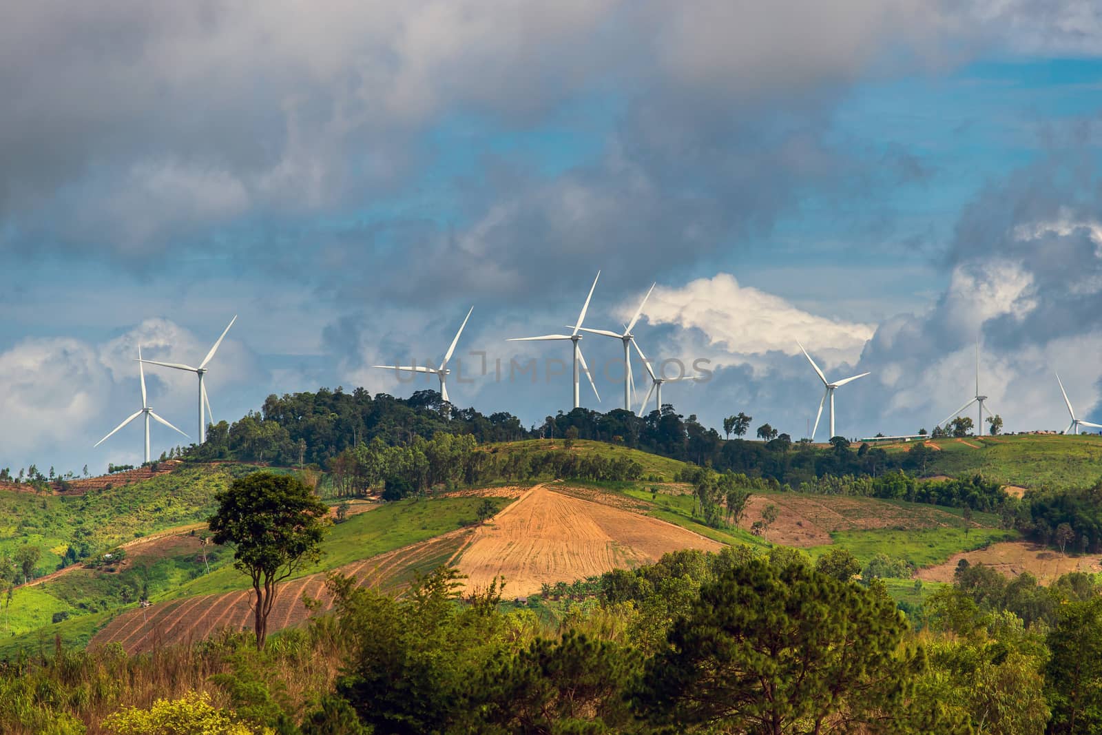 Wind turbines on sunny morning