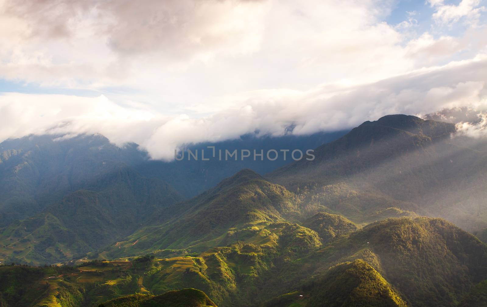 Beautiful summer landscape in the mountains with the sunset