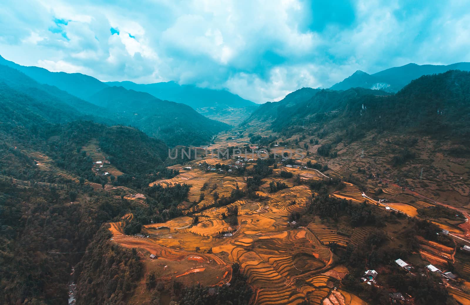 Rice fields on terraced of Mu Cang Chai by freedomnaruk