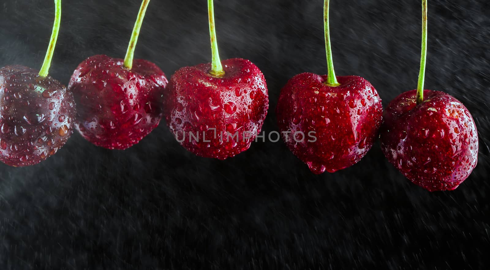 Fresh ripe cherries for background by freedomnaruk