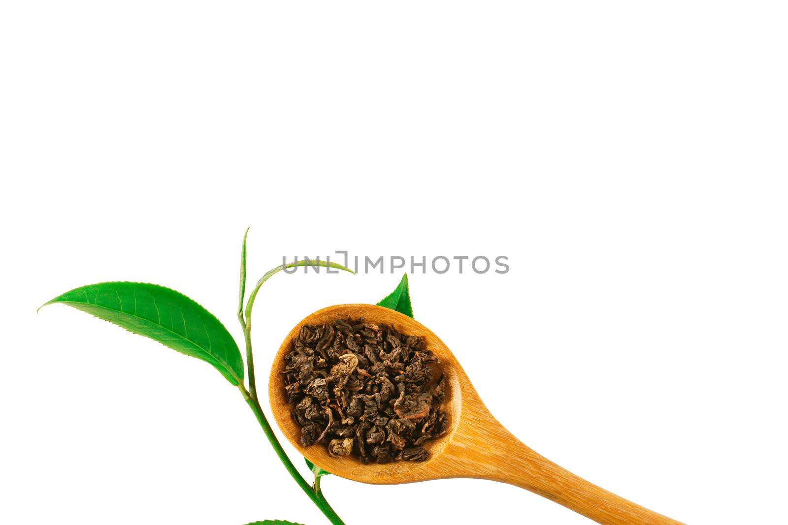 Green tea leaf isolated on white background by freedomnaruk