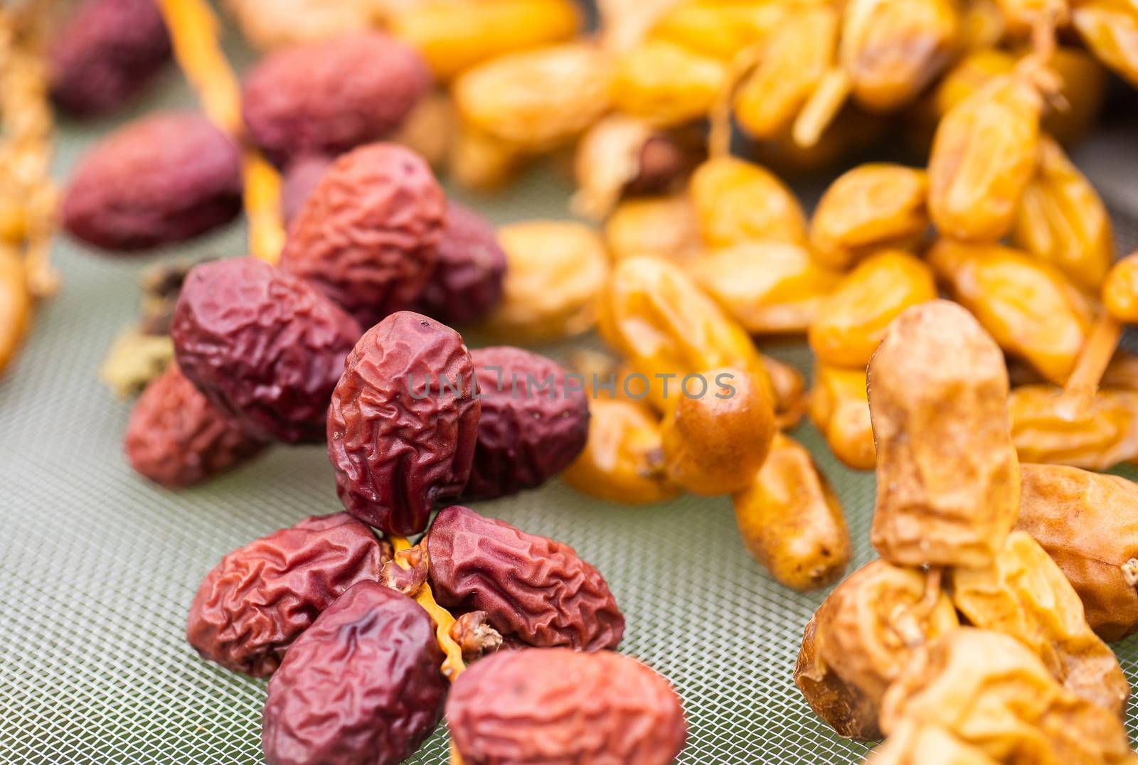 Dates fruit in a wooden bowl closeup  by freedomnaruk