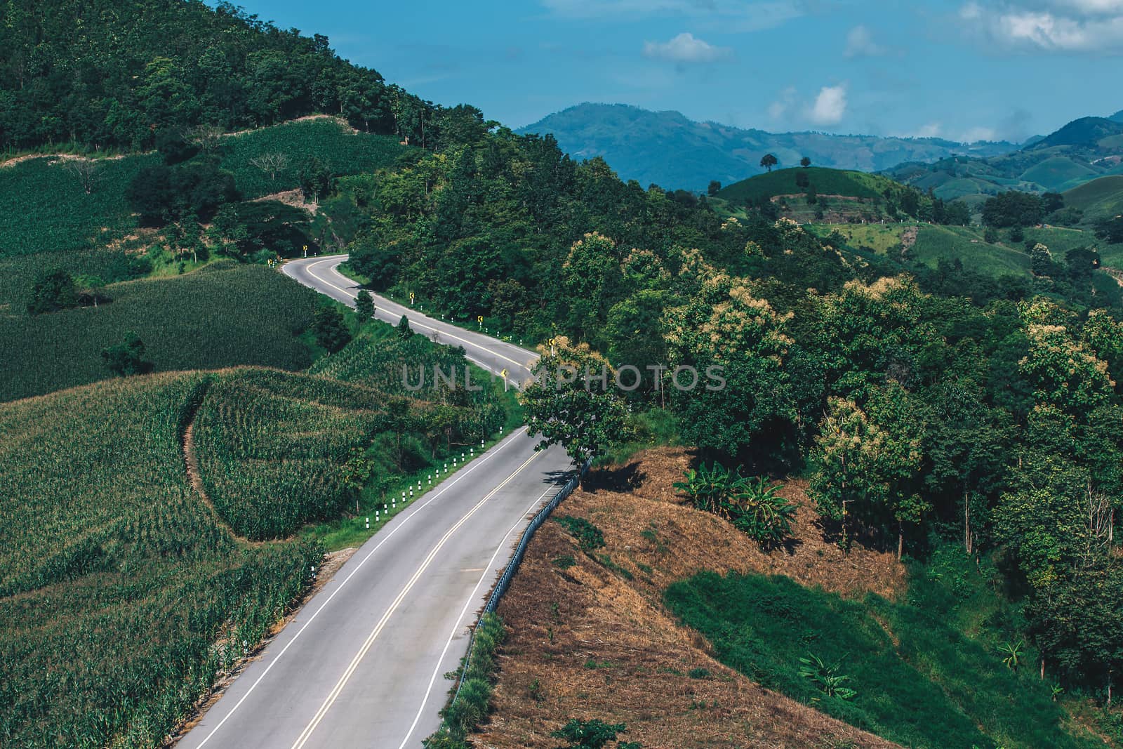 Beautiful Road summer landscape in the mountains with the sunset by freedomnaruk