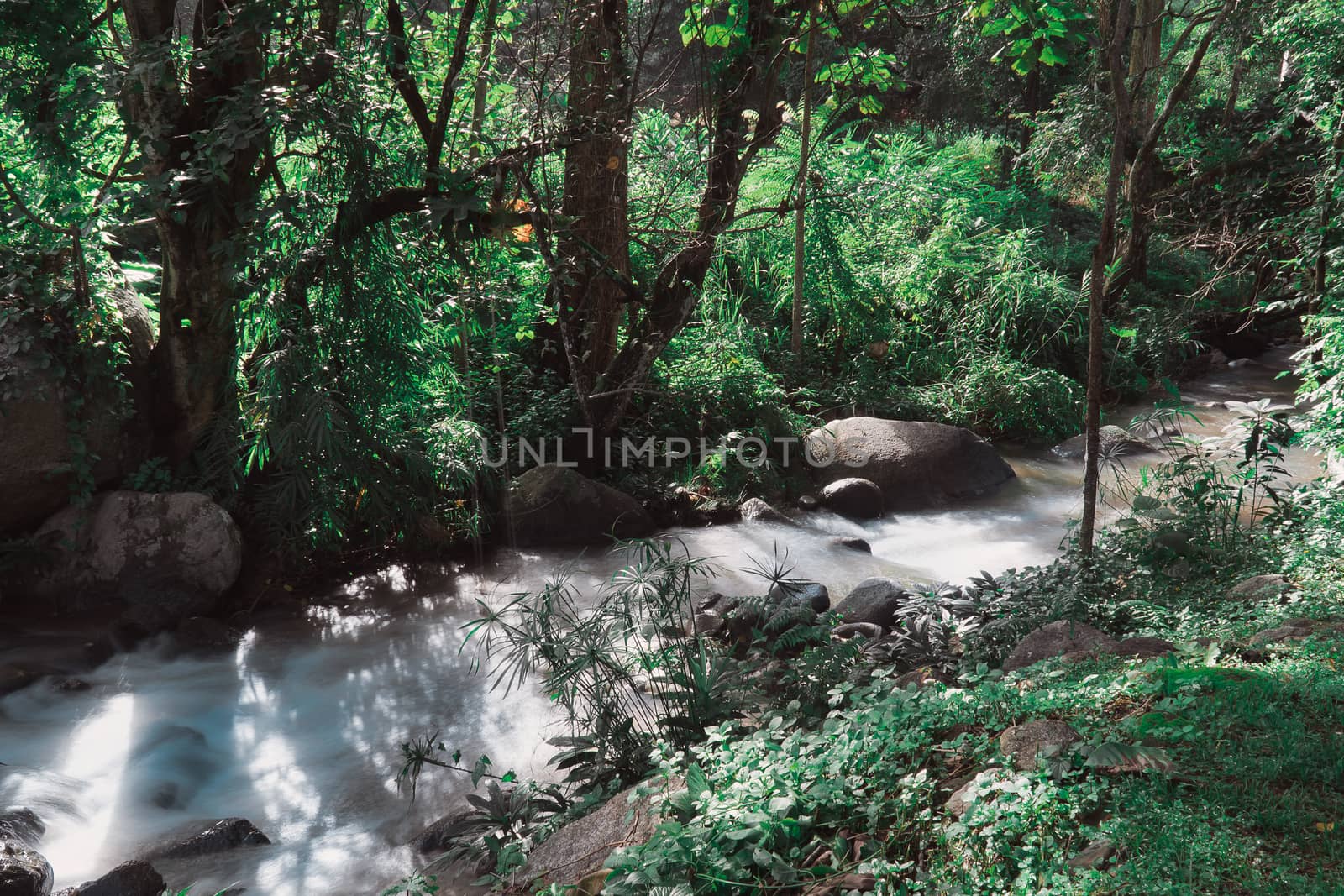 soft water of the stream in the natural park, Beautiful waterfall in rain forest 