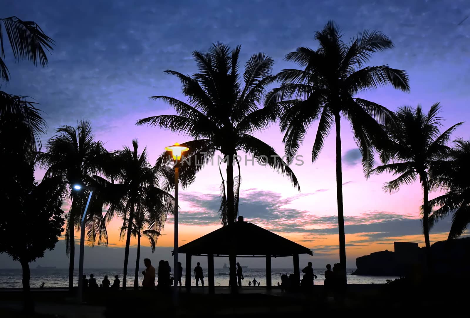 Tropical beach scene with palm trees at dusk with people as silhouettes