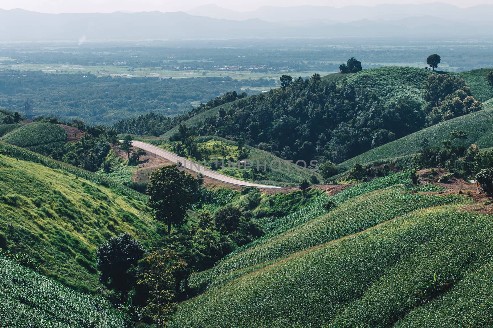 Beautiful Road summer landscape in the mountains with the sunset