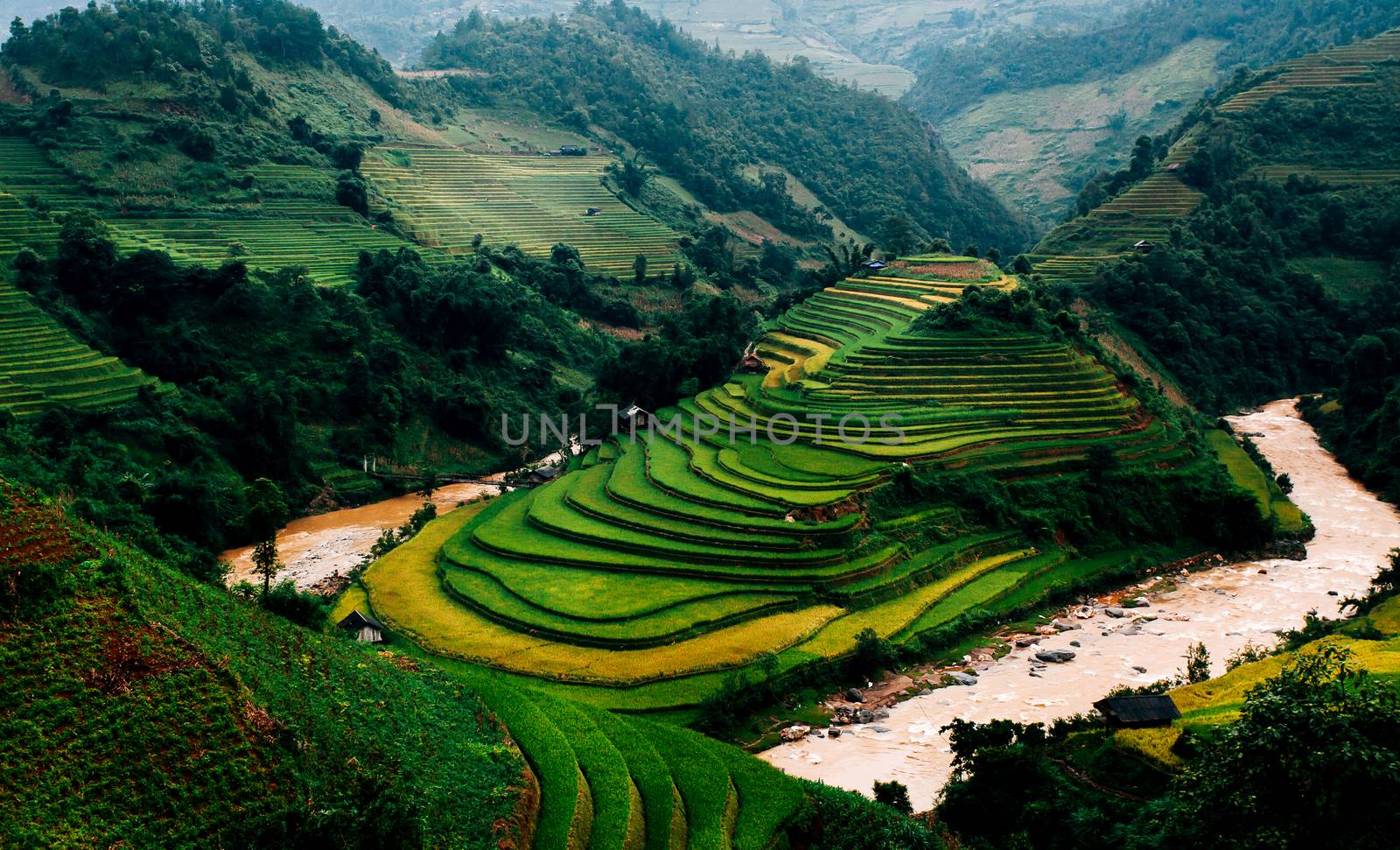 Rice fields on terrace in rainy season at Mu Cang Chai, Yen Bai by freedomnaruk