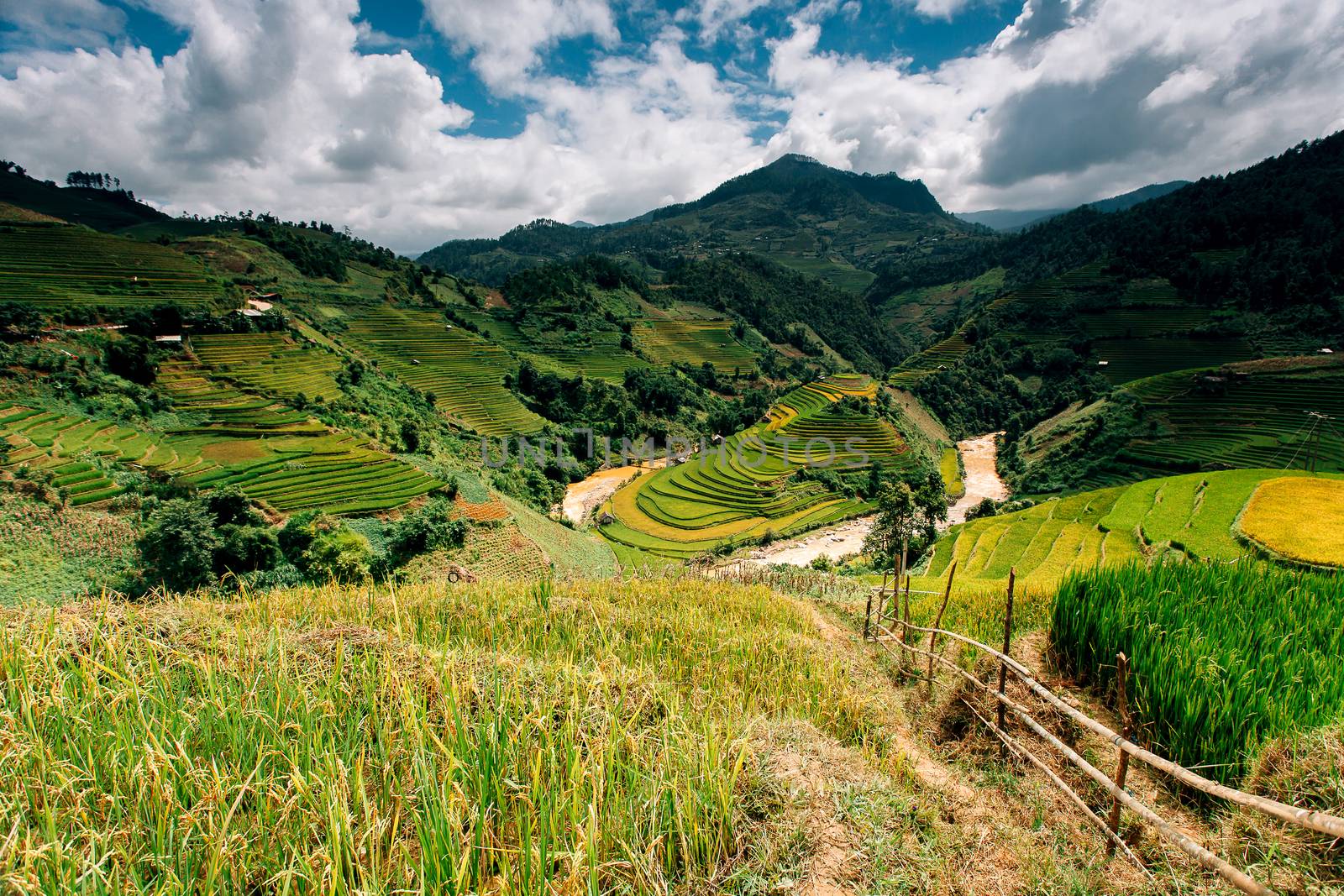 Rice fields on terrace in rainy season at Mu Cang Chai, Yen Bai by freedomnaruk