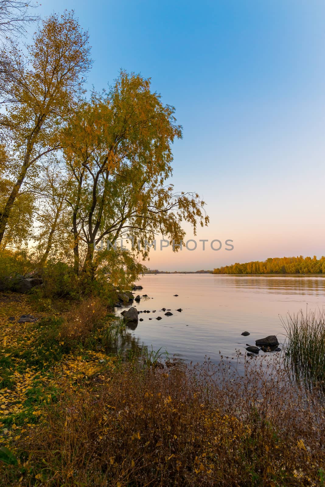 Trees and  warm colors of the Dnieper river at dusk in autumn, in Kiev, Ukraine