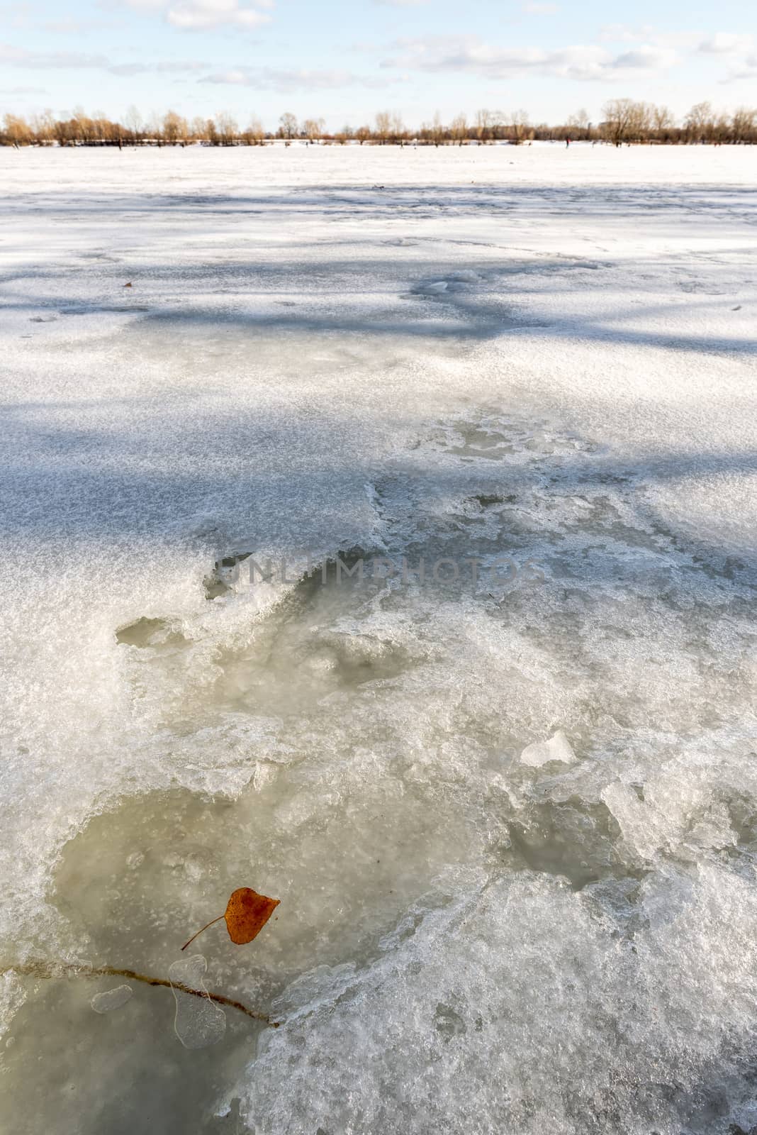 Detail of ice with a leaf on the frozen Dnieper river in Kiev, Ukraine