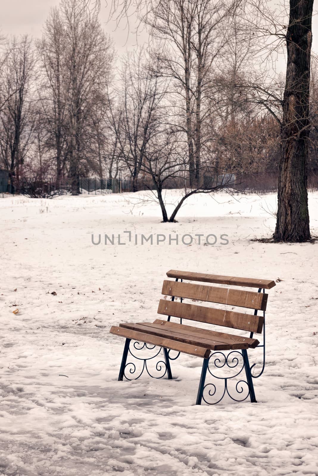 A lonely bench in the park covered by snow in winter, Kiev, Ukraine