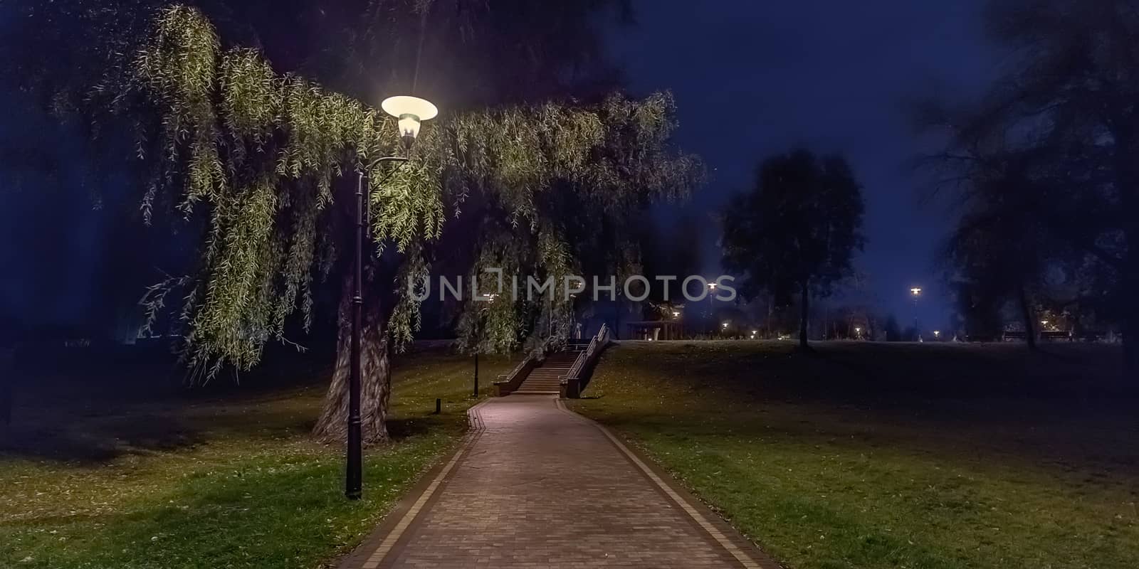 Viwe of the Natalka park of Kiev with an illuminated street lamp at night