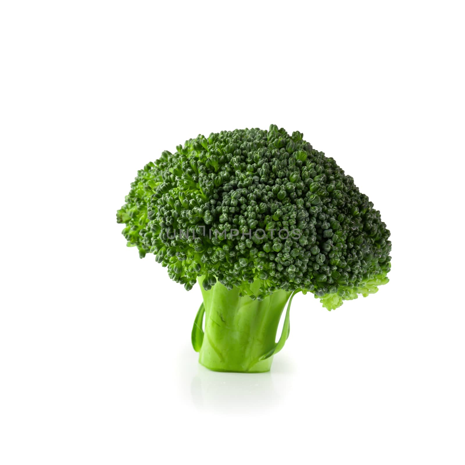Fresh broccoli blocks for cooking isolated on white background.