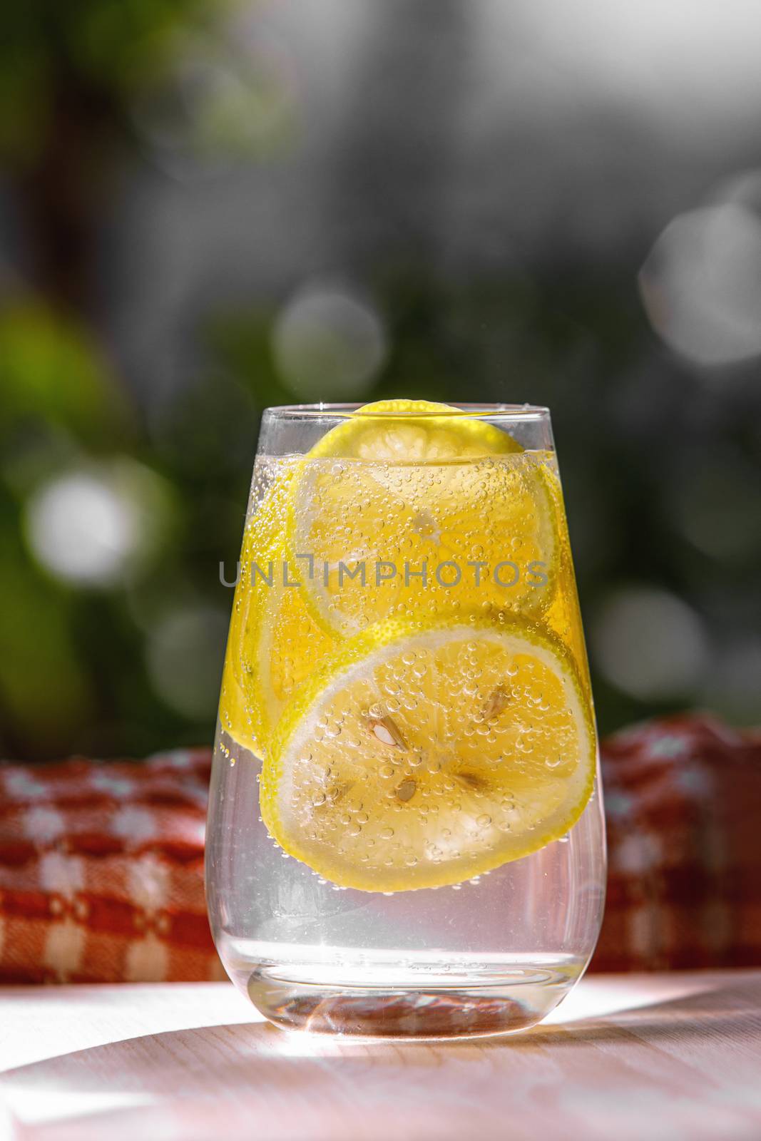 Citrus lemonade in garden setting,summer drink.