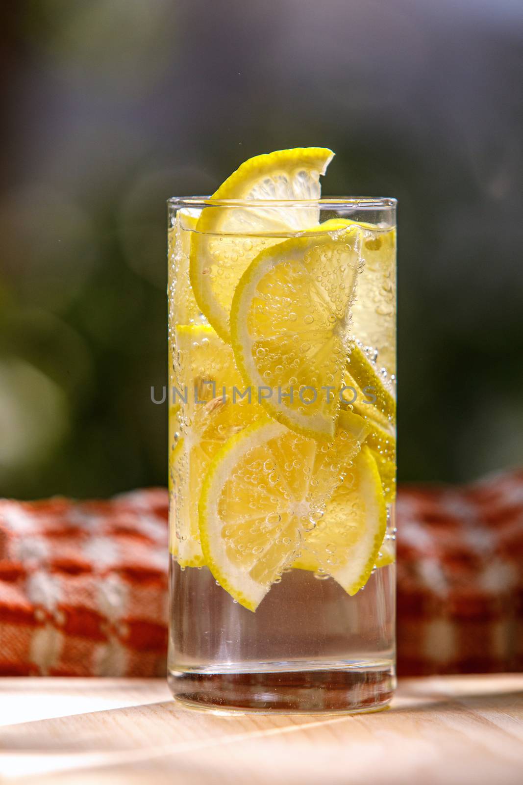 Lemonade with fresh lemon in glass on garden background