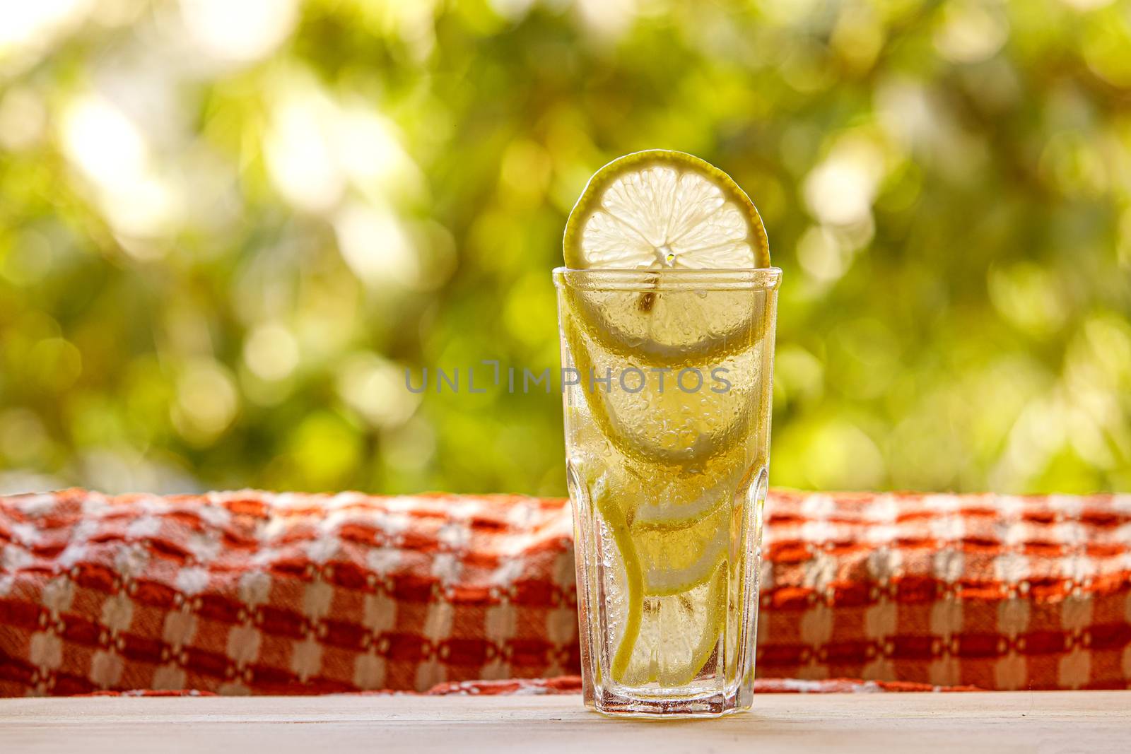 Citrus lemonade in garden setting, summer drink by 9parusnikov