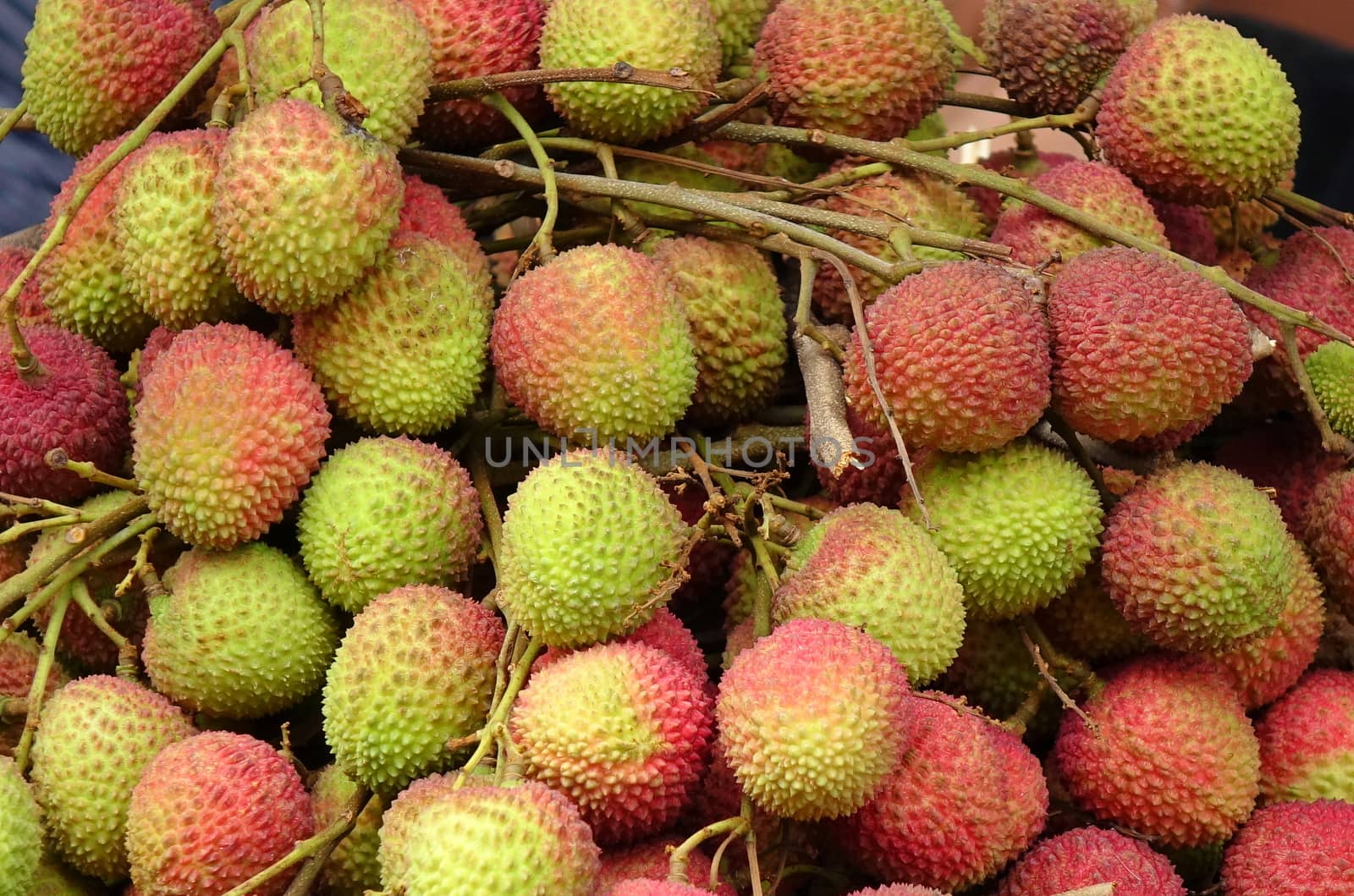 Bundles of fresh lychee fruit are sold at an outdoor market