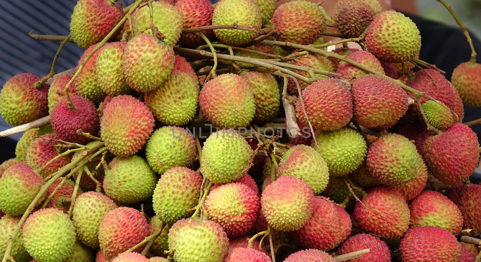 Bundles of fresh lychee fruit are sold at an outdoor market