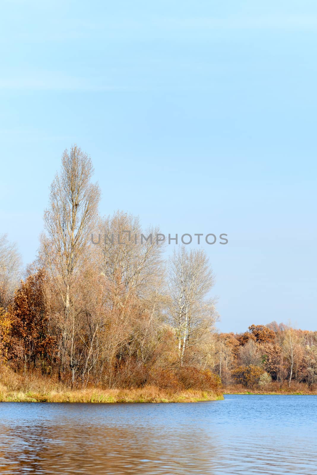 View of trees close to  the Dnieper river in autumn