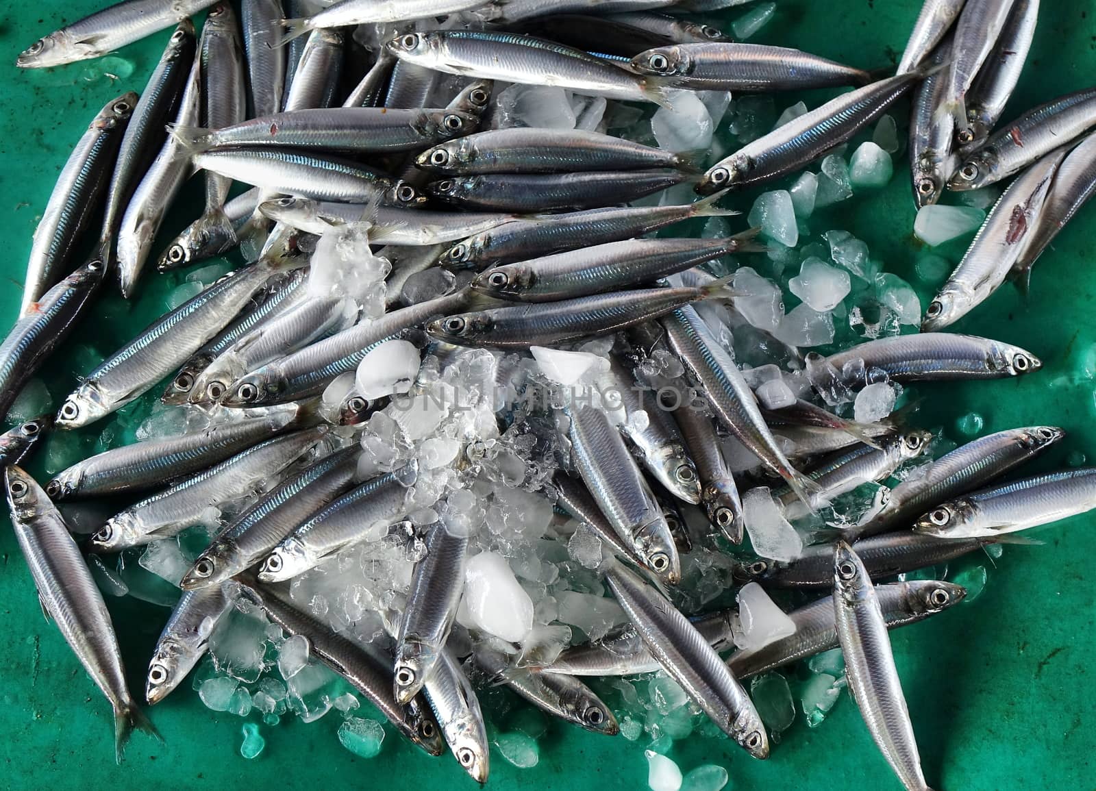 Fresh fish is being offered at an outdoor market
