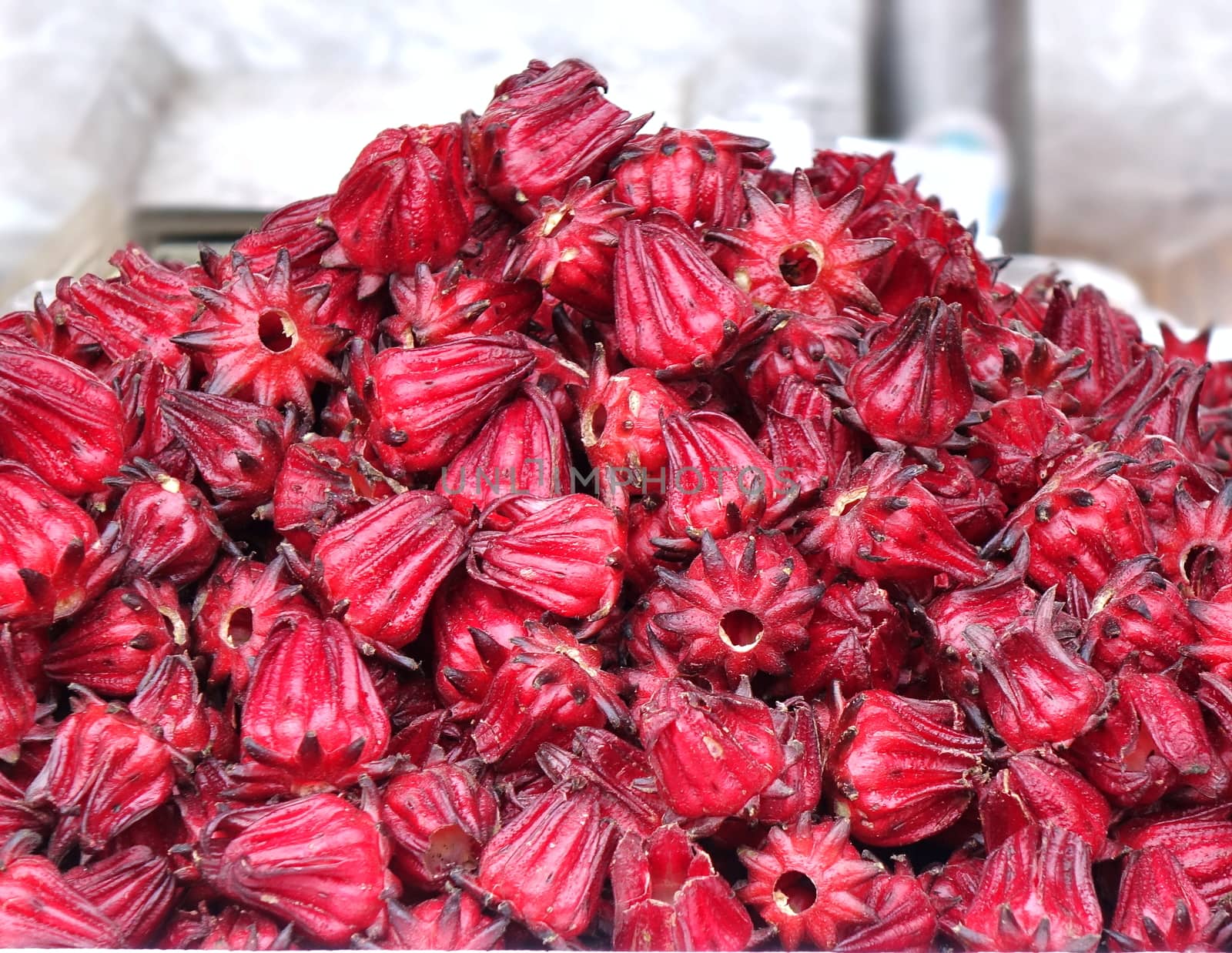 Fresh rosella or hibiscus fruit is used to make sour tasting drinks and jams
