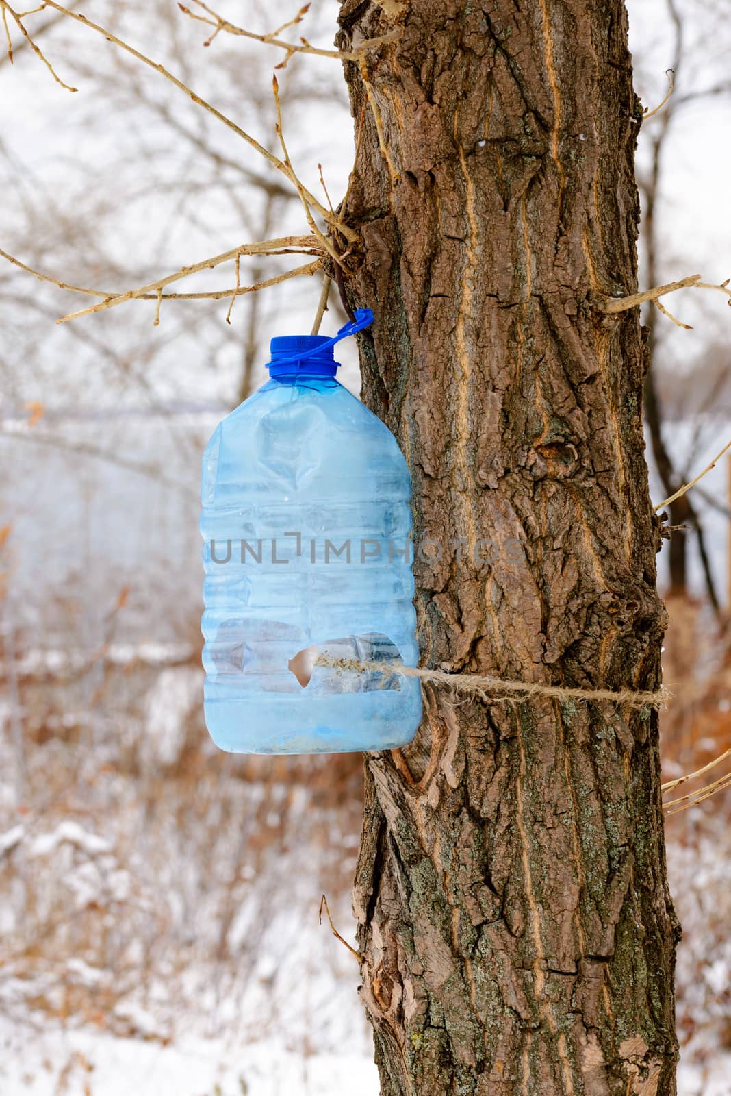 Big plastic bottle used as feeder for birds in winter