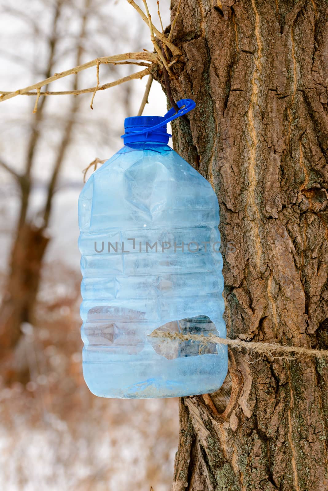 Big plastic bottle used as feeder for birds in winter